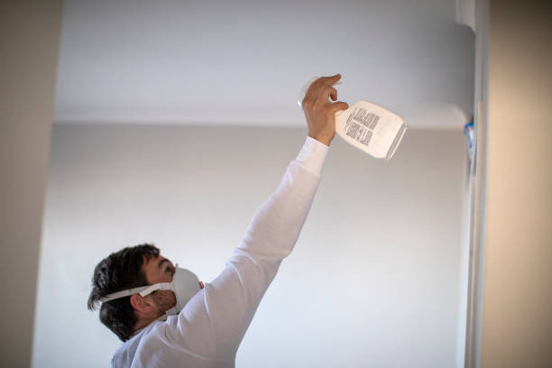 Best Same-Day Mold Removal  in Honaker, VA
