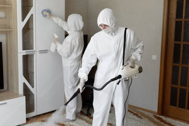 Best Crawl Space Mold Removal  in Honaker, VA