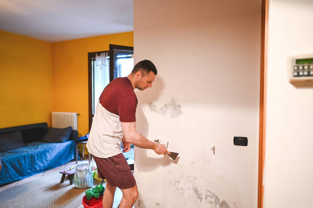 Mold Removal and Inspection in Honaker, VA